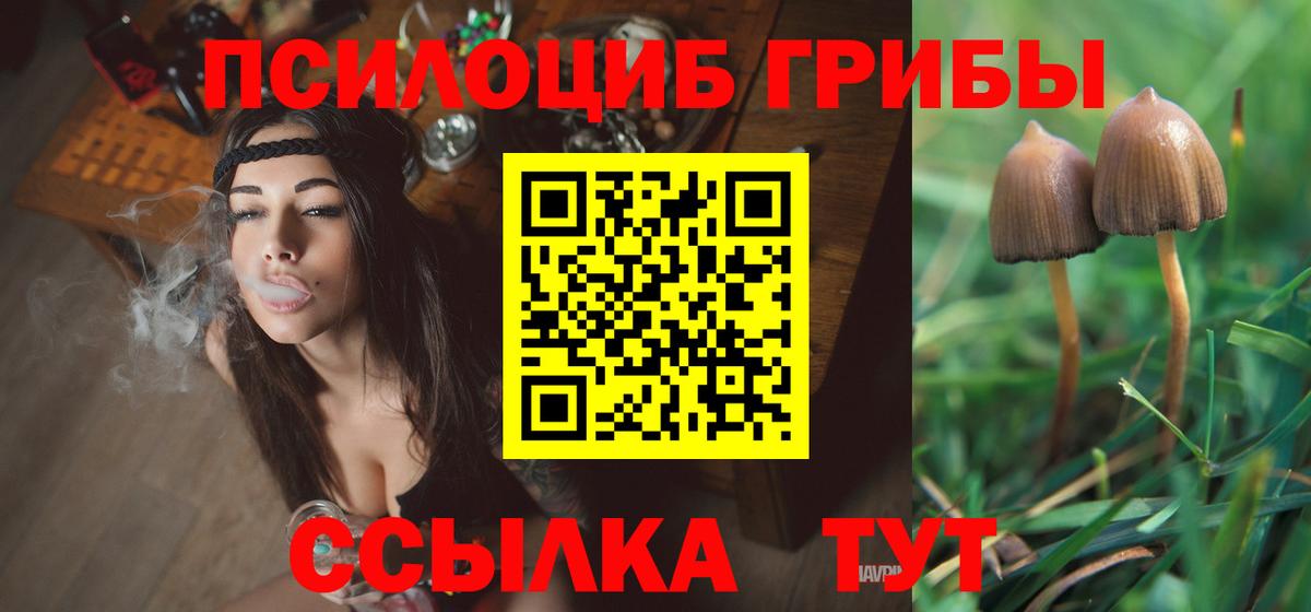 Соль-Илецк  Галлюциногенные грибы Magic Shrooms  Галлюциногенные грибы GOLDEN TEACHER  Вход с VPN 